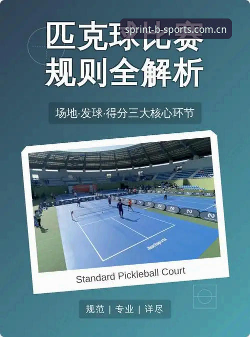 什么让最新B-sports体育服务成为赛事爱好者的新选择？